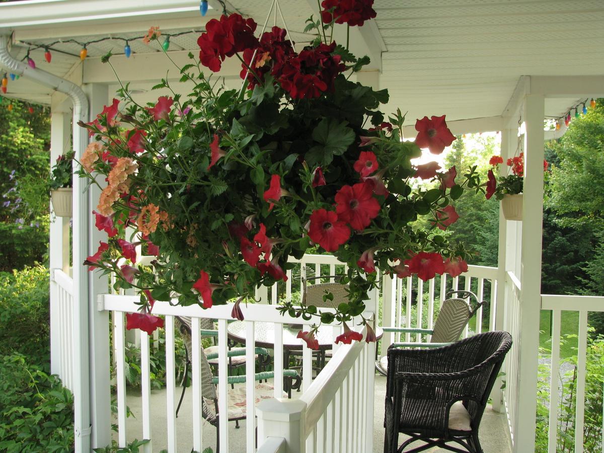 Arkadia Eastman B&B Екстериор снимка